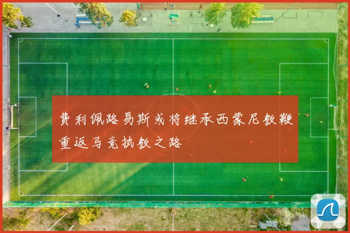 费利佩路易斯或将继承西蒙尼教鞭重返马竞执教之路