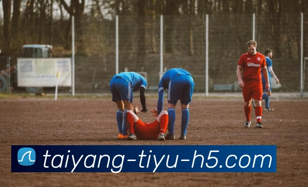 太阳城平台生态图