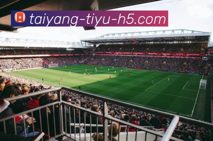 太阳城APP 封面图